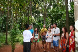 Spice plantation Goa